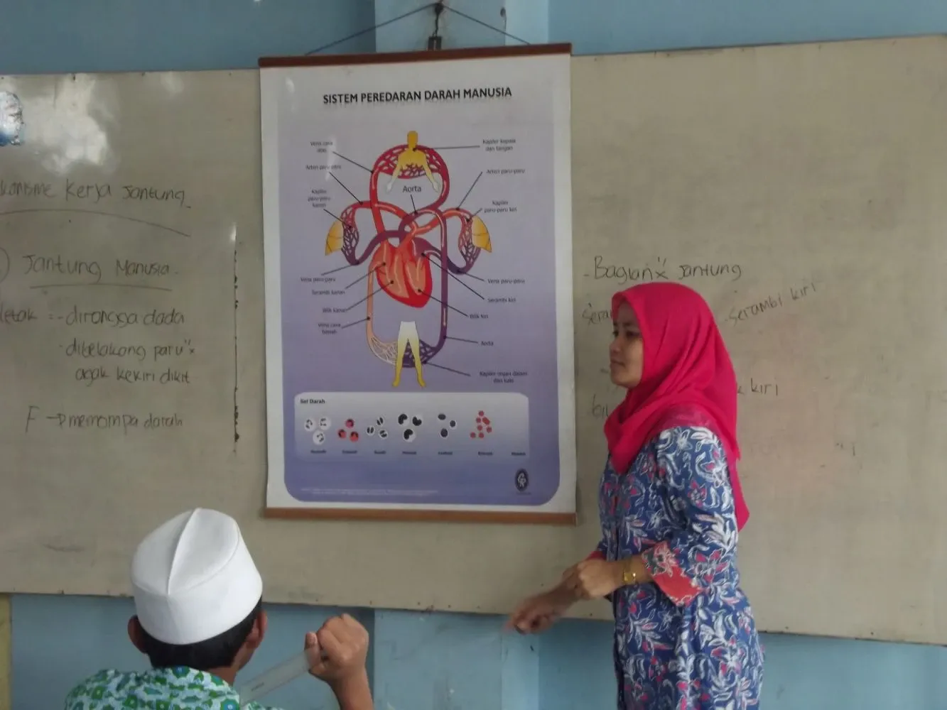 Guru menjelaskan sistem peredaran darah manusia di depan kelas dengan poster dan papan tulis